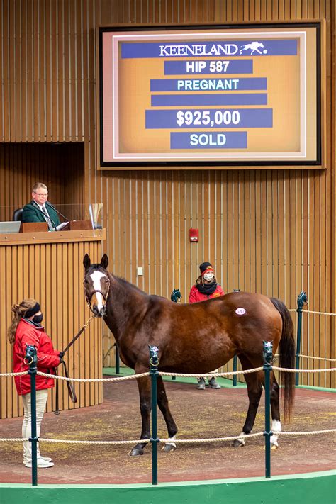 keeneland sales results